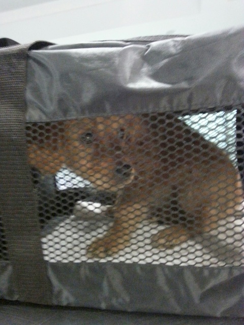 1 20151219 035837 resized