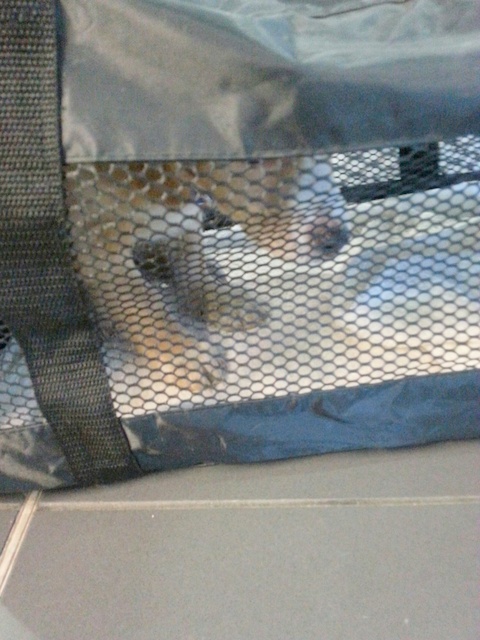 1 20151220 151755 resized