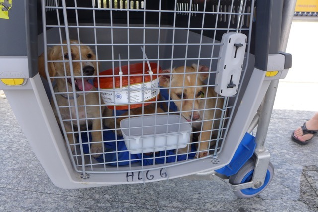 1 cid 9AF0FAB6 5F1F 4E29 A969 C1D956865FBC