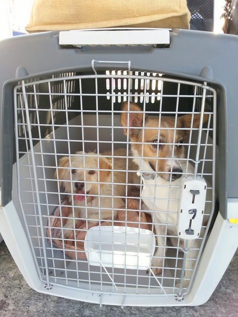 1 20151020 083649 resized