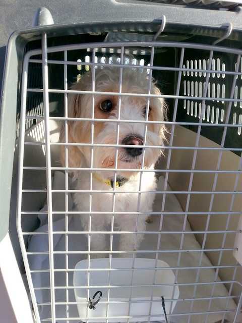 1 20151020 083711 resized