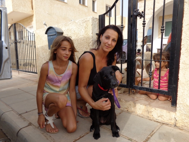 1 molly with foster family