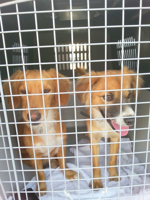 1 20151018 082418 resized