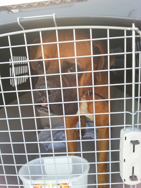 1 20151018 082426 resized