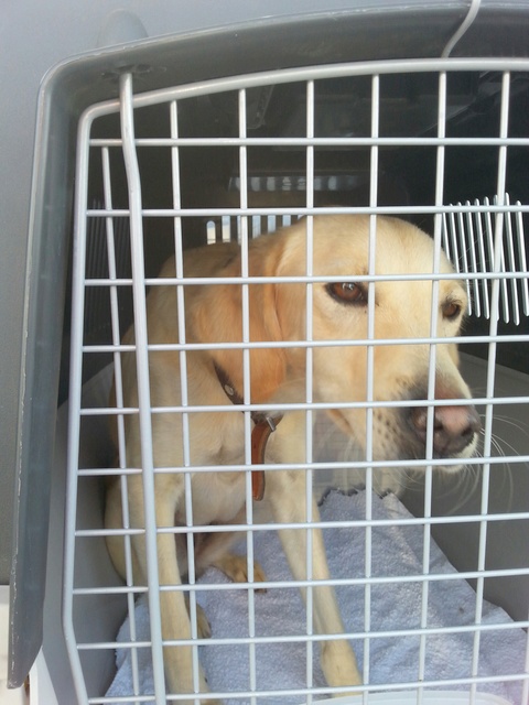 1 20151018 082436 resized