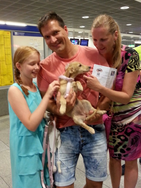 1 20150705 194717 resized