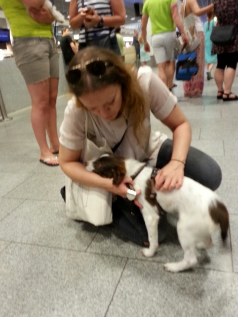 1 20150705 195117 resized