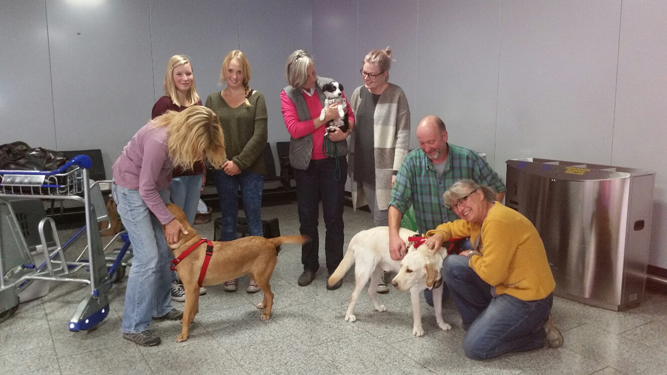 20150905 195850 resized