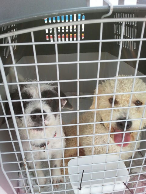 1 20151106 143415 resized