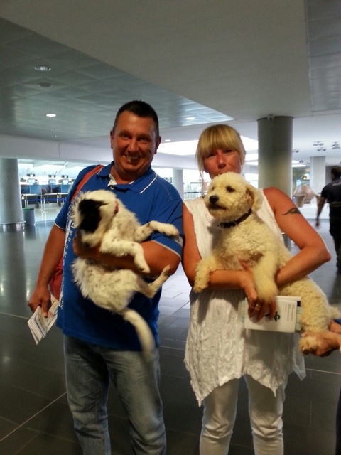 1 20151106 150508 resized