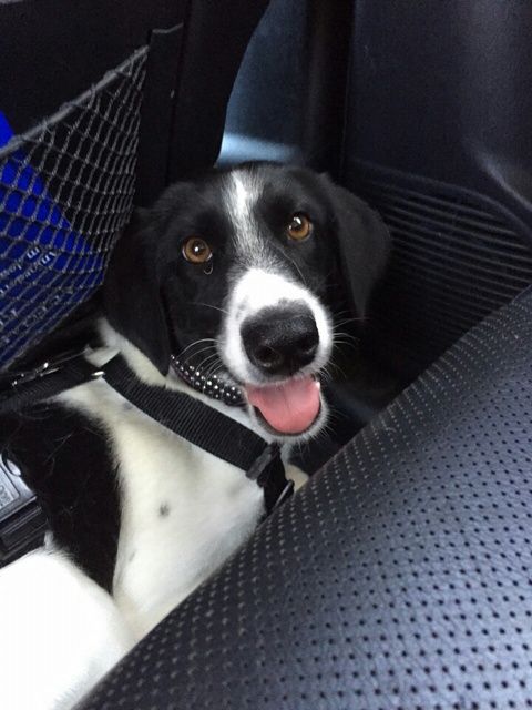 1 IMG 20150707 WA0011 resized