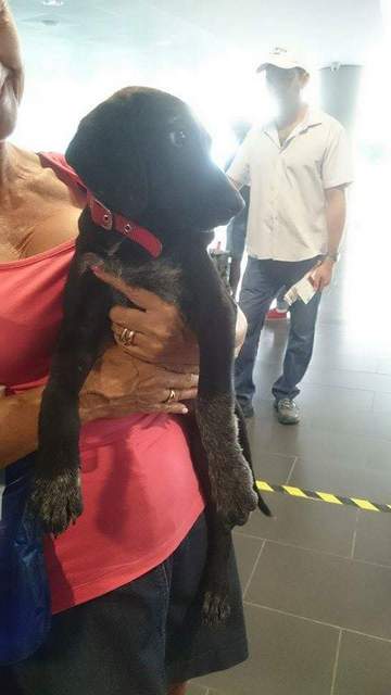 1 received 1590476701215487