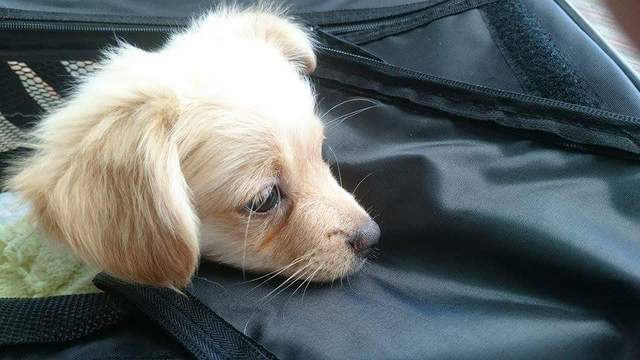 1 received 1590476737882150