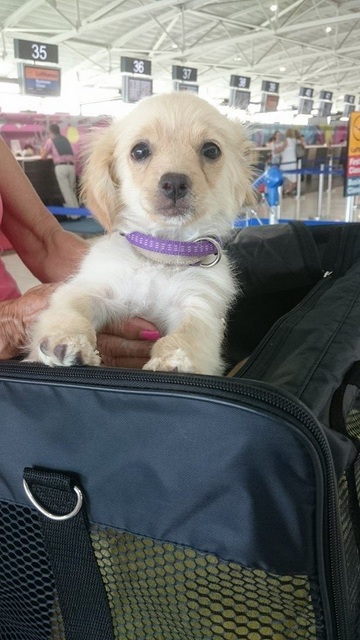 1 IMG 20150808 WA0010