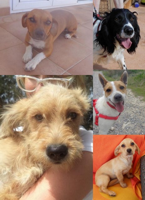 1 ankunft frankfurt 09 08