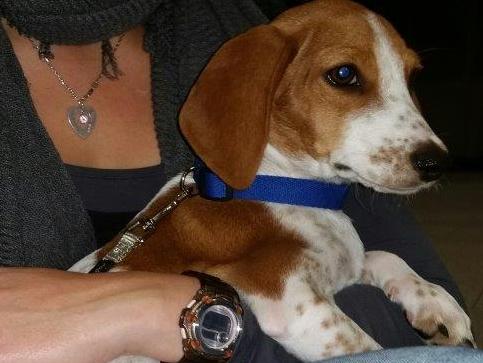 1 20151009 194341 resized