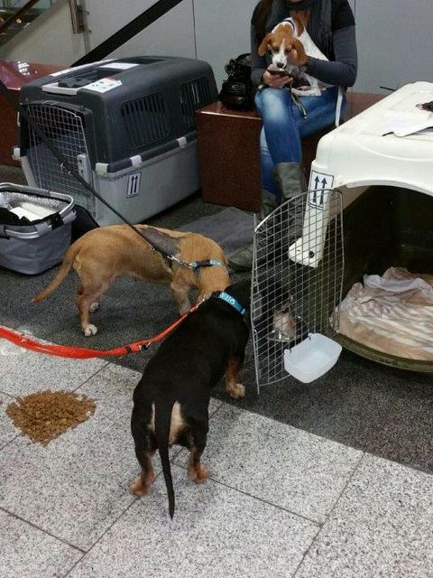 1 20151009 200521 1 resized