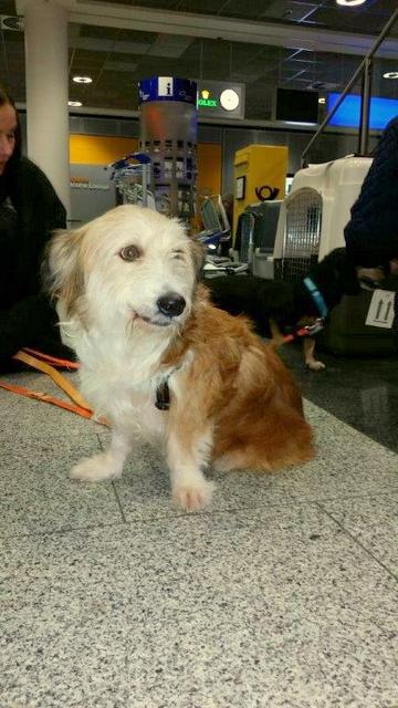 1 20151009 201945 resized