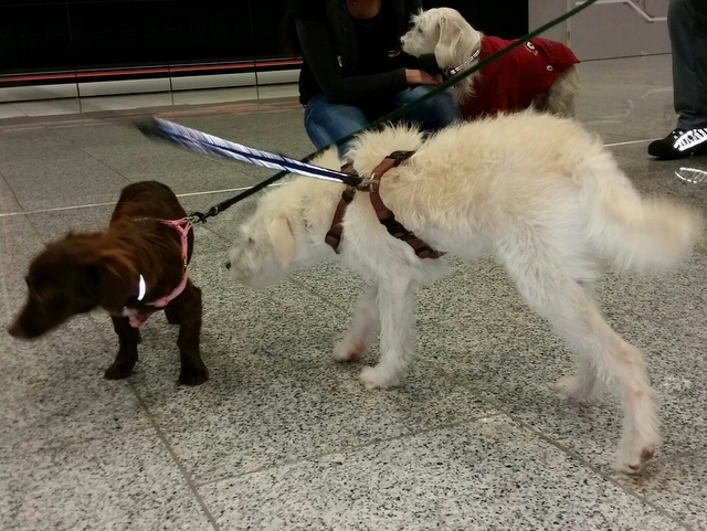 1 20151010 215916 1 1