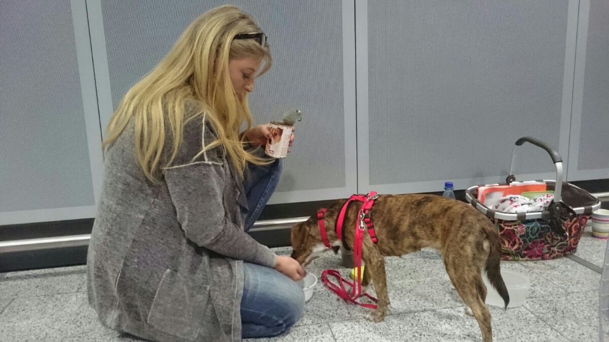 IMG 20151011 WA0021 resized