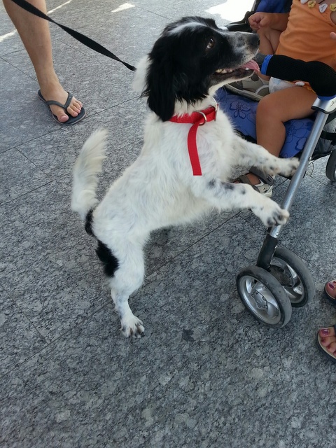 1 20150913 133658 resized