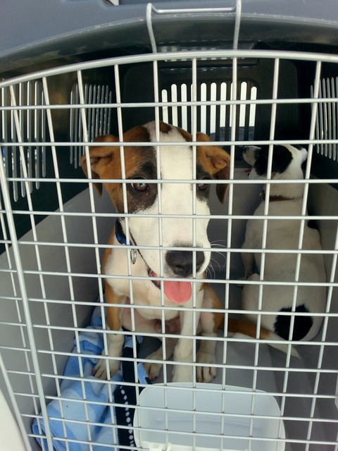 1 20150913 133758 resized