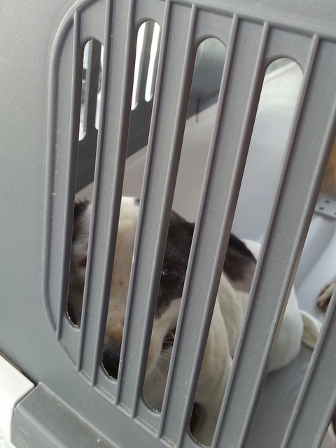 1 20150913 133809 resized