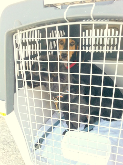 1 20150913 134558 resized