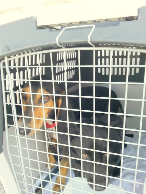 1 20150913 134603 resized