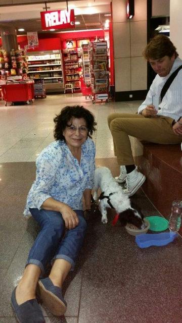 1 20150913 195945 resized