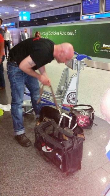 1 20150913 201136 resized