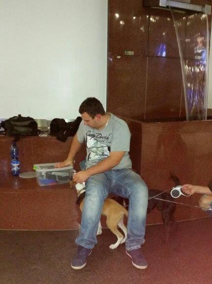 1 20150913 201205 resized