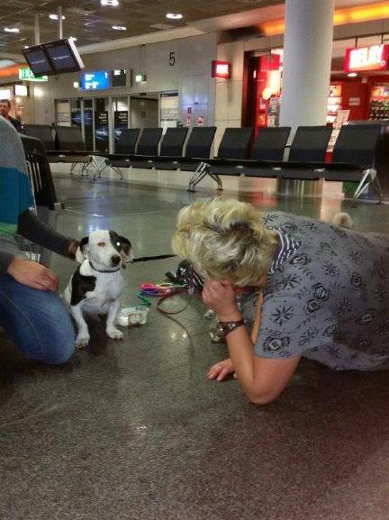 1 20150913 201315 resized