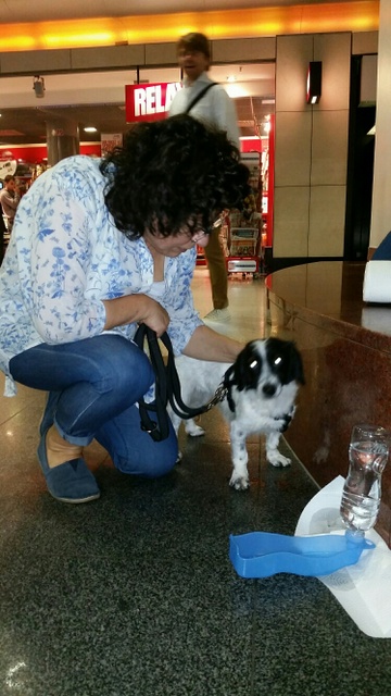 1 20150913 201805 resized resized