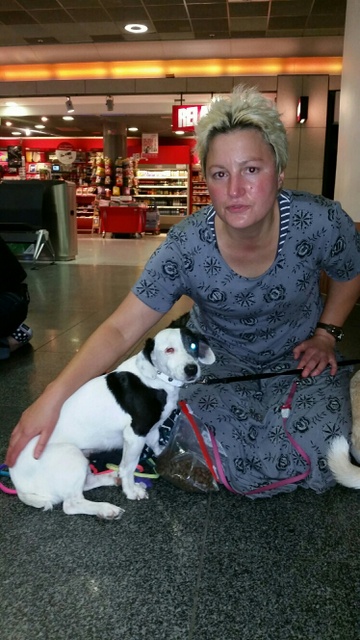 1 20150913 202252 resized resized