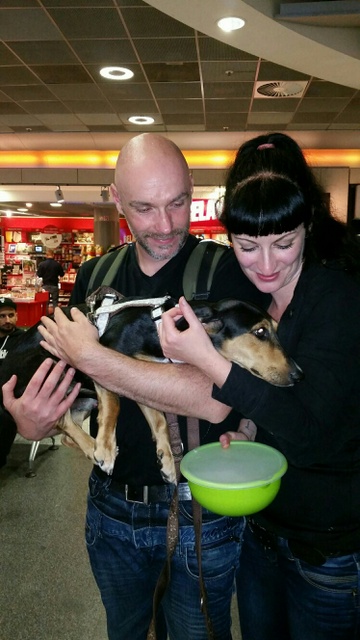 1 20150913 202943 resized resized