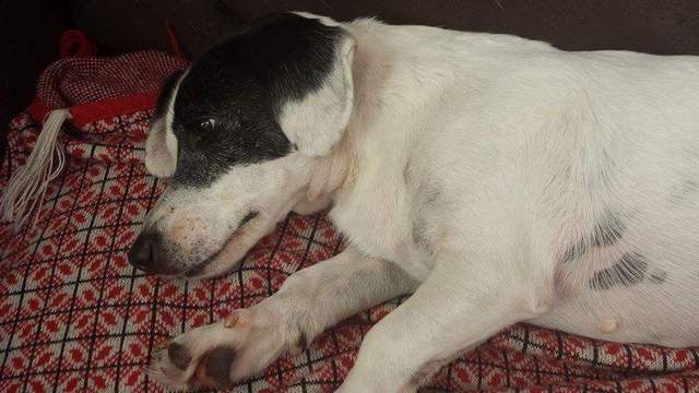 1 received 1615274512056453