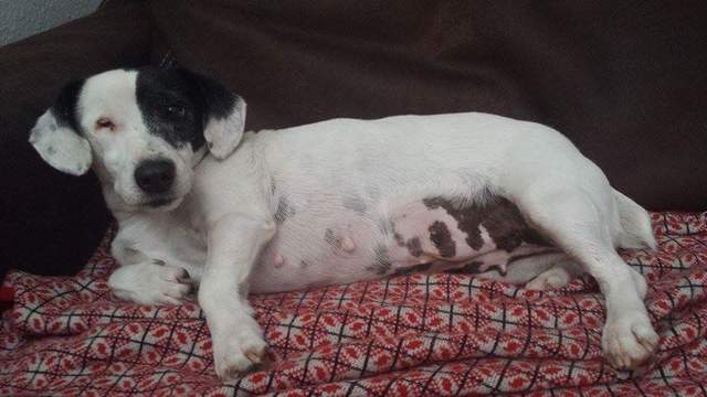 1 received 1615278402056064