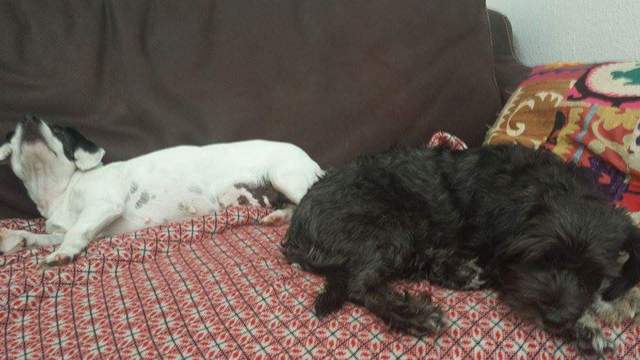 1 received 1615278422056062