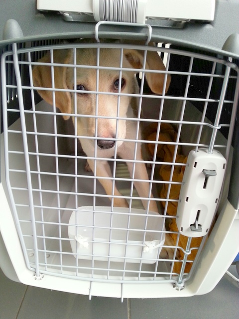 1 20151016 134742 resized