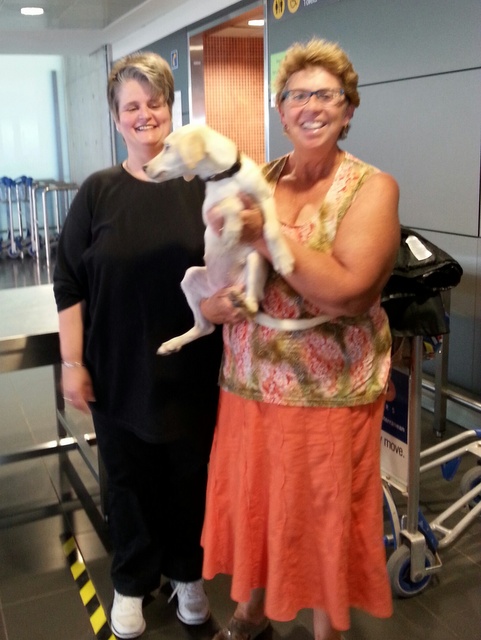 1 20151016 135003 resized