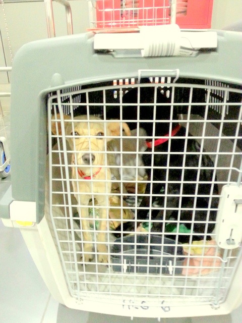 1 20150825 023855 resized