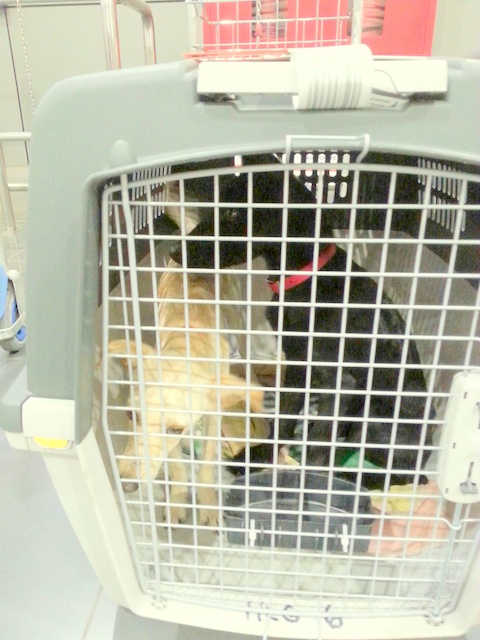 1 20150825 023858 resized