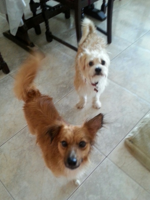 20150627 114223 resized