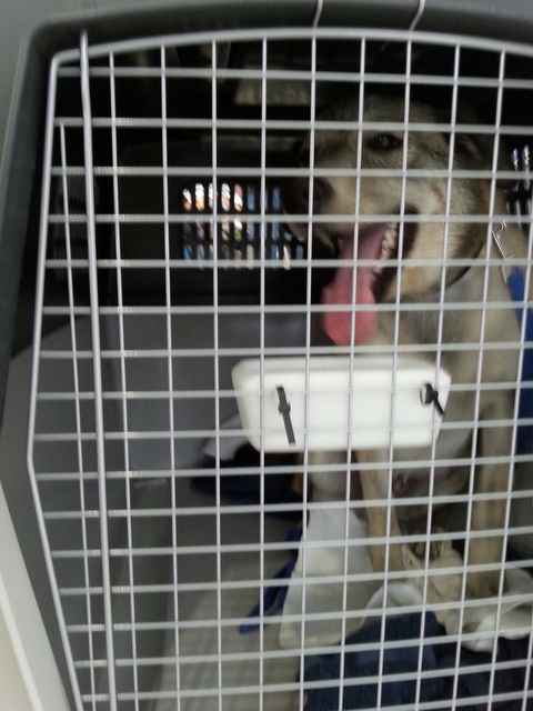 20150627 141618 resized