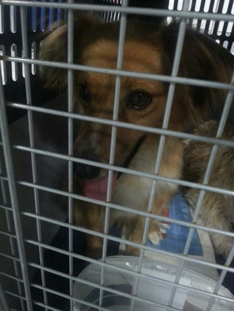 IMG 20150627 WA0005 resized