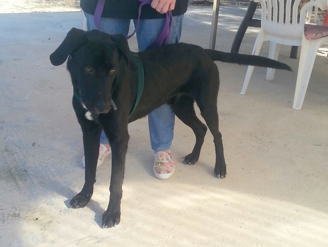 1 20151129 110713 resized