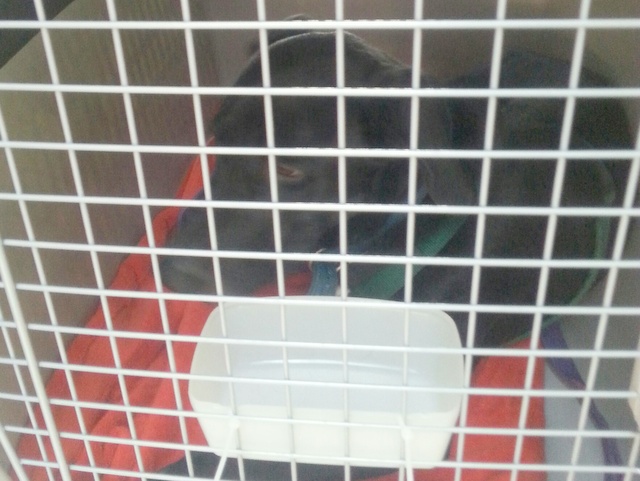 1 20151129 120408 resized