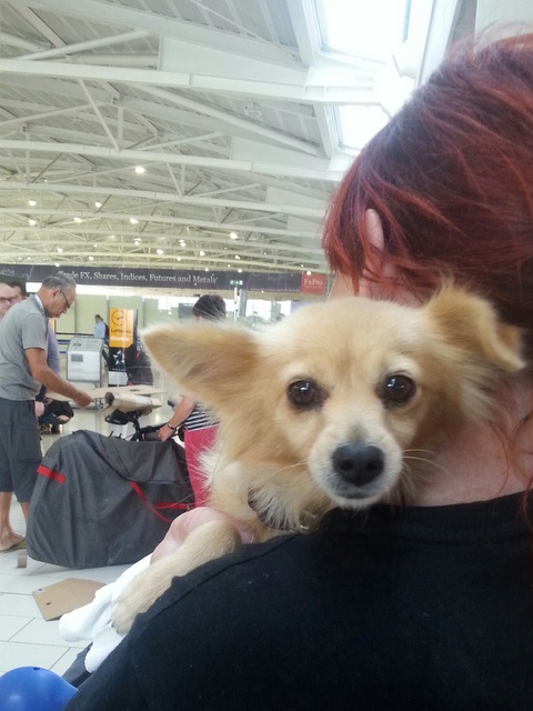 1 20151129 121155 resized 001