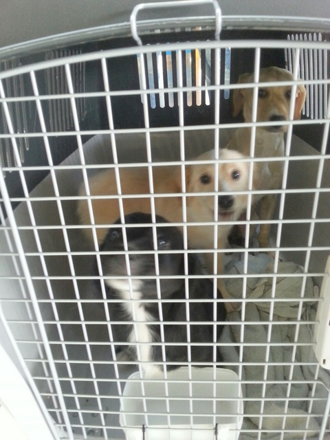 1 20151129 121231 resized